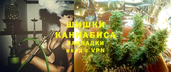 амф Арсеньев
