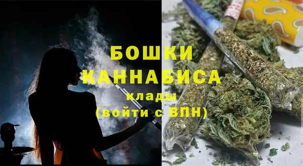 амф Арсеньев